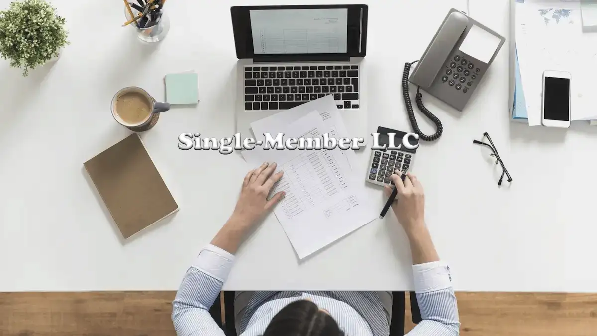 Single-Member LLC